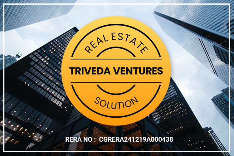 TRIVEDA VENTURES  - We`re Professionals